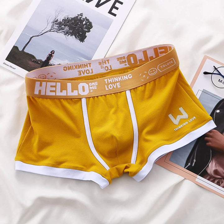 BoxerPro™ – Premium Komfort Atmungsaktive Boxershorts (2+2 GRATIS)